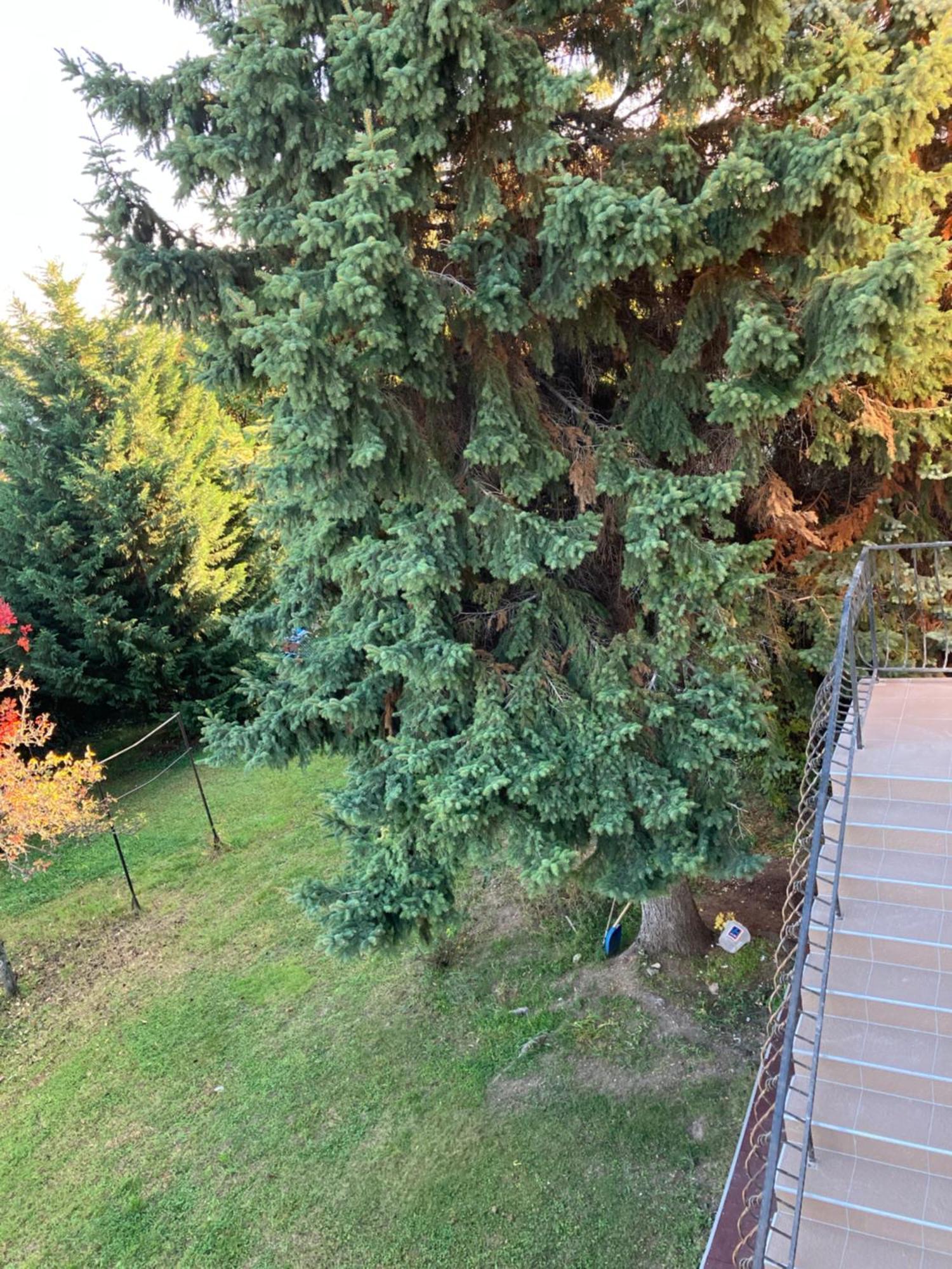 Apartment Retifarkas