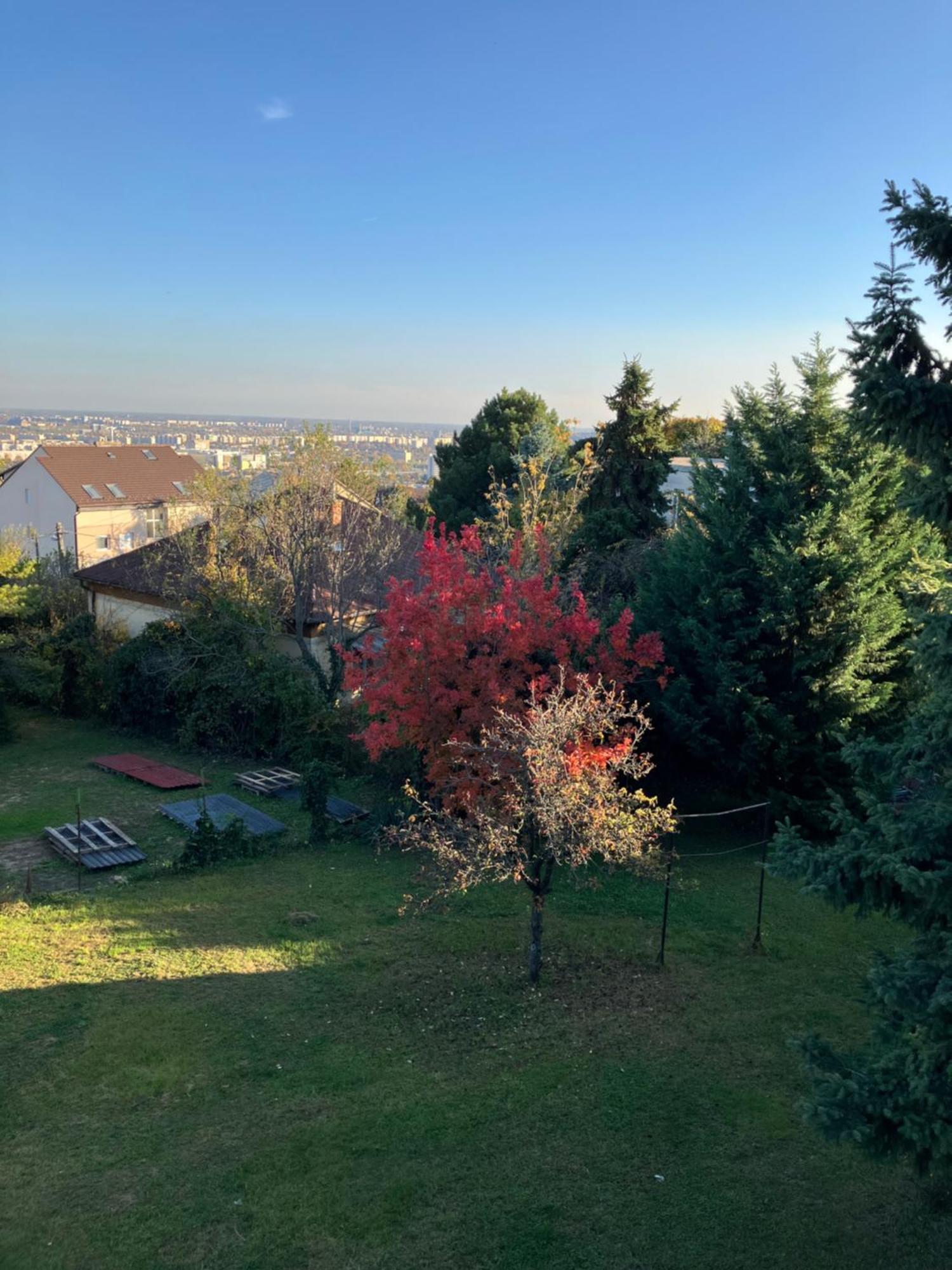 Apartament Retifarkas